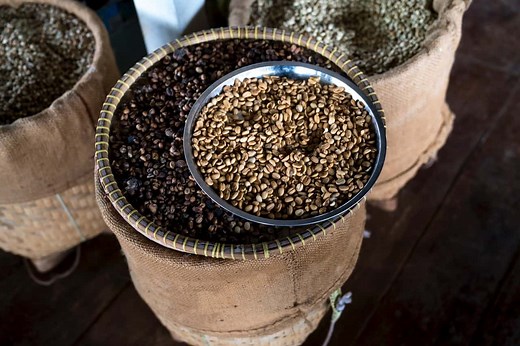 Liberica Coffee: The Rare Bean with a Bold Punch