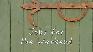 23K views · 679 reactions | BBC Gardeners World on Reels | Facebook