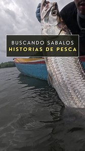 Uno de los mejores días de pesca de #tarpon en mi vida! Empecé el día tirando un Sebile Puncher que me regaló mi amigo Gerardo de @gatunsportfishing. Luego cambié a una sardina de goma marca YUM que compré en @casadepesca_pa. El resto es historia. Ese día sacamos 8 sábalos, 3 machacas, y 1 róbalo 💪. #tarponfishing #pescaesportiva #pescadeportiva #pesca #lineaycarrete #pescapanama #fishing #pescapanama #pescaenpanama #pescadeportivapanama #fishinstagram #sportfishing | LineayCarrete