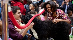 The Obamas' dog, Bo, dies at the age of 12
