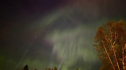 Aurora lights up Alaska skies with stunning green and red display