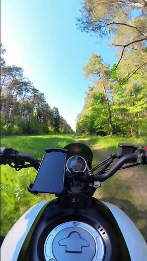 Yamaha XSR 125 off-road pure sound #xsr125