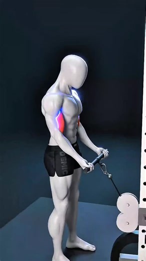 fitness100% on Instagram: "💪🏻Master Your Bicep Peak: Cable Curl Edition! 🦾 Not all curls are created equal. If you’re just pulling the weight up without thinking about your hand position, you’re leaving gains on the table! 📉 Swipe left to see the breakdown of each grip: 1️⃣ Underhand (Supinated): Hits the "peak" of the bicep. Focus on the squeeze at the top! 2️⃣ Overhand (Pronated): Targets the brachioradialis. If you want thick forearms, do these. 3️⃣ Neutral (Hammer): Hits the brachialis,