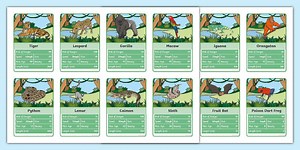 Jungle Animals Themed Top Card Game