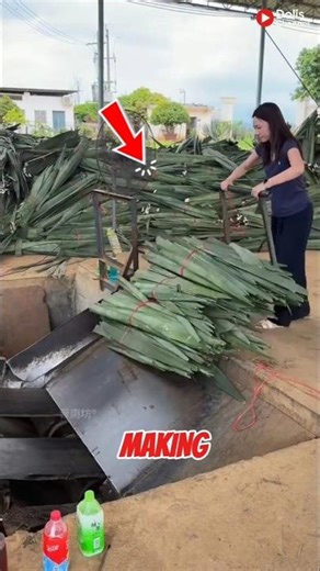 Here's How a Machine Turns Leaves into Yarn! 😱