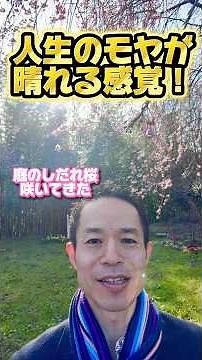 【悩みのないパラレルワールド！】#量子力学的習慣術 #量子力学的生き方 #ゼロポイントフィールド #村松大輔 #開運