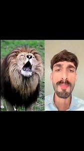 288K views · 12K reactions | Eagle and loin real vs fake sound #information #mrikram #today #new | MR.Ikram | Facebook