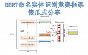8.4.1 [23分钟 上] BERT竞赛实践与代码框架介绍-----命名实体识别模型（单模第一，综合第二）