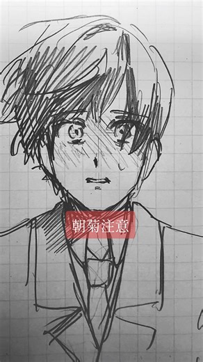 朝菊の魅力とアイルランド文化の融合