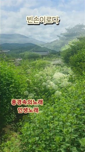 수선사의평화로운풍경 #힐링영상 #빈손이로다 #풍경속의노래 #수수꽃다리tv