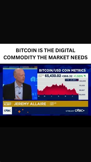 Bitcoin Isn’t Just Crypto — It’s a Digital Commodity | BTZO | bitcoin isn't just cryptic