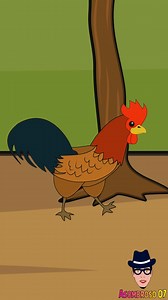 el gallo dominicano #chiste #humor #comedia #meme | Asombroso 07
