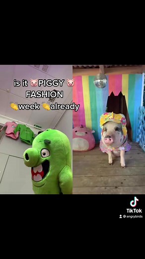 Fashionable Piggy Angry Birds Meme at Fashion Week