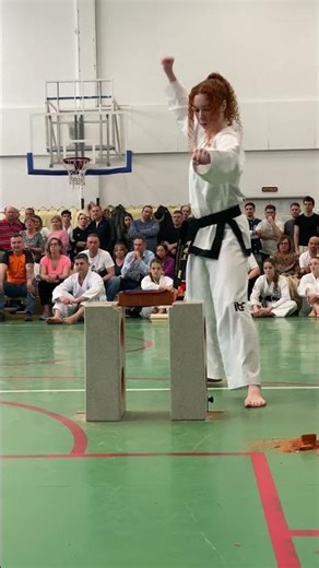 Szilassi-Horváth Réka mester tégla törése