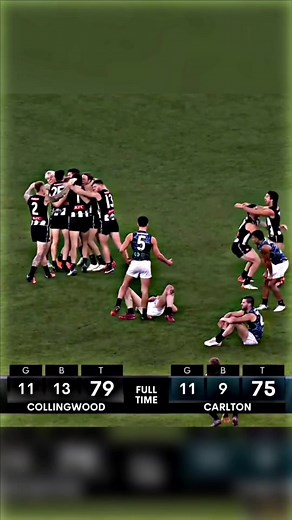 All or Nothing😤 #carlton #afl #footy #australia #blues #sport #viral #fyp #collingwood #pies #magies #baggers #tiktok
