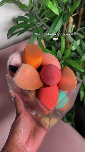 How to Clean Makeup Sponges with Olive Oil