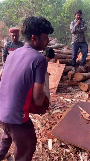 Debarking Plywood Process Explained - Part 426