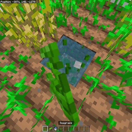 How to prevent water from freezing. #minecraft #minecraftshorts