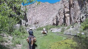 101 reactions · 9 comments | Beginning the journey into Taylor Creek Canyon | Geronimo Trail Guest Ranch | Facebook