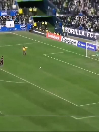 Cuanta falta nos hiciste el los penales😪. #perugoodx #selecciónperuana