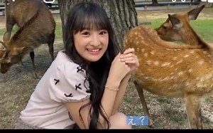 NMB48 27th单曲 冈本怜奈个人宣传PV,EP15『背伸びして、奈良に。』来去奈良旅游。