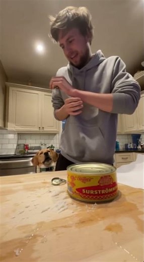 Surströmming Reactions Compilation - No One Survived the Smell #funnyvideo #surstromming #shorts
