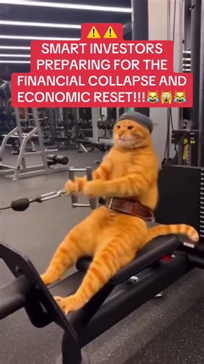 🚨 Breaking: Buy Bitcoin, protect your assets on web3 to avoid losing all your cryptos!! The cabals don’t care about us!! Follow and Send a message to more crypto news and Current Affairs. Hod bless America 🇺🇸🇺🇸 #miami #fyp #cryptonews #breakingnews #bitcoin