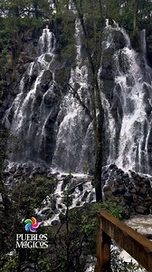 Descubre la Cascada Velo de Novia en Valle de Bravo 🏞️🍃. Vive una experiencia única entre la frescura del agua y la serenidad del bosque 🌳🌿. El destino ideal para relajarte, reconectar y disfrutar de la naturaleza 🥰💚. | Turismo Valle de Bravo