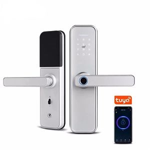 [Hot Item] Digital Keypad Door Lock Biometric Fingerprint Intelligent Digital Push Pull Smart Door Lock with Smart Life APP