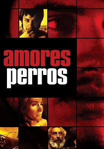 Amores perros - película: Ver online en español