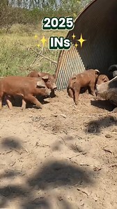 “Focus on the good things you can add, not what you have to give up.” That’s the heart of The Happy Kitchen / La Cocina AlegreⓇ nutrition philosophy. 🤔 With that in mind, here are all the things we can say for sure are IN ✅ for 2025: Reusable bags ✅ Cooking with friends and family ✅ Foods that taste like home ✅ SFC Help Desk ✅ Local produce ✅ Fair access to nutritious, local food ✅ Farmers’ Market Saturdays @sfcfarmersmarket ✅ Connecting with your local farmer ✅ ✨ New year, same mission: Sustai