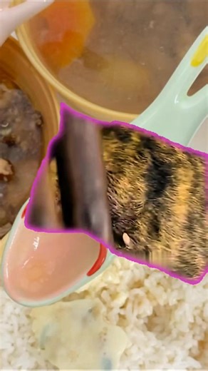 105K views · 1.1K reactions | Botfly Mango worms | Mango worms | Facebook