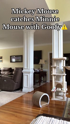 Mickey Mouse Catches Minnie Mouse with Goofy - Hilarious Comedy Skit
