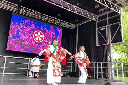 Yosakoi Dance at 2023 DC Cherry Blossom Festival