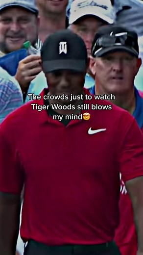 Tiger Woods Big Dog: An Incredible Moment