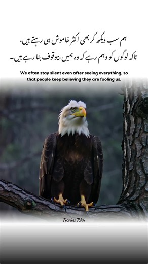 Hum Sab Dekh Kar Bhi Khamosh Rehte Hain The greatest trap you can set for a fool is to let them think they are outsmarting you. 🦅 Ordinary people waste their energy correcting every liar and arguing with every manipulator. A sovereign mind operates in deep silence. We see through your games, your fake loyalty, and your hidden agendas. But instead of showing our hand, we observe. We play along with your illusion. Let them believe their own lies; their arrogance is their ultimate undoing. While t