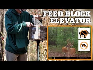 The Best Way to Feed Deer Blocks
