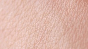 High-resolution Close-up Texture Human Skin Stock Footage Video (100% Royalty-free) 3799006833 | Shutterstock