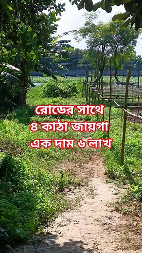 রোডের সাথে ৪ কাঠা জায়গা বিক্রি হবে যারা কমের মধ্যে যায়গা খুজছেন তারা দেখতে পারেন ধন্যবাদ । ০১৯১৬-৭৯০৪৯৮ WhatsApp #fbreels2025ツ #livebanglanews #viralreelschallenge #flowers #reelschallenge #facebookree #fypchallenge #fbreelsfypシ゚viralシ #facebookreel #landscape #BOOMchallenge #popary #viralchallenge #share #fbreelsfypシ゚ #Bangladesh | Live Bangla News