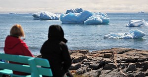 Visiting Iceberg Alley? Here's What To Know Before You Go