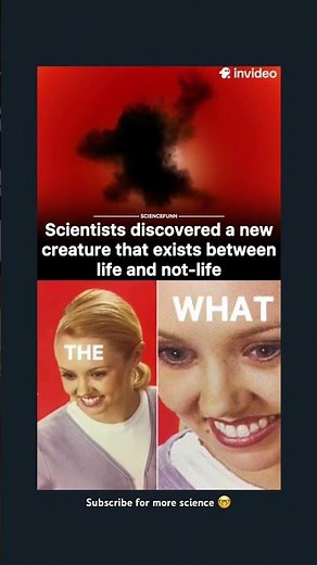 Scientists discovered a new creature that exists between life and not-life