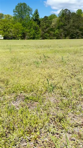 We've heard tales of civil war troops camping in this field, so we decided to #dig in & uncover the truth!🕵🏻‍♀️🪏 P.S. Bullet identification is not one of Genna’s superpowers — she just calls every single one a “3-ringer,” even when it’s clearly not 🤣 #vagirlsgonedigging #metaldetecting #metaldetector #history #relichunting #relics #relichunter #xpdeus #xpdeusfinds #relic #civilwar #civilwarhistory #bullets #savinghistory #xpmetaldetectors #virginiahistory #explorer #exploring #civilwarrelics