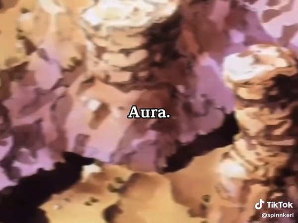 Goku vs Vegeta Battle Highlights