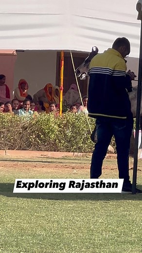 24K views · 1.1K reactions | Beautiful Stallion | Exploring Rajasthan | Facebook