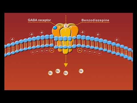 Benzodiazepines animation: sedatives and hypnotics