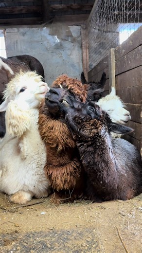 Michael reminds you that practice makes… 1994 Chevy cavalier? (he dk) | Cavalier