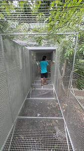 Longest Flight Cage at Myko’s Aviary almost ready@for the new birds | Myko's Aviary