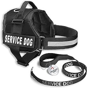 Amazon.com : Service Dog Vest with Hook and Loop Straps & Matching Service Dog Leash Set - Harnesses from XXS to XXL - Harness Features Reflective Patch and Comfortable Mesh Design (Black, Large) : Pet Supplies