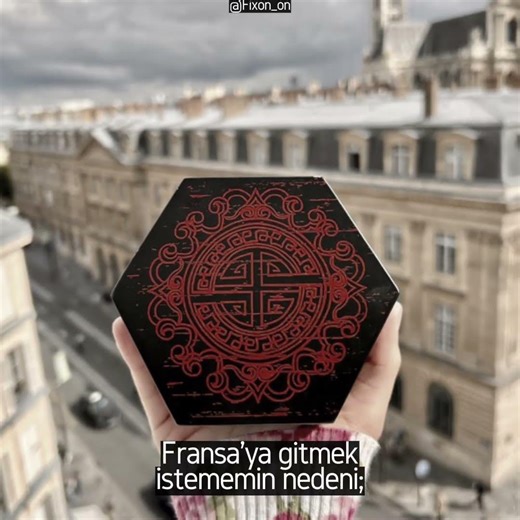 #keşfetbeniöneçıkar#keşfetedüş#kesfeteyyiz#keşfet#mucizeuğurböceği#karakedi#plagg#tiki#uğurböceği