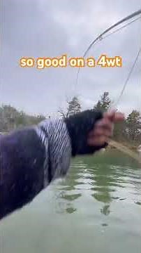 Fly fishing the Blue River in Oklahoma! #fishing #flyfishing #troutfishing #trout #rainbowtrout